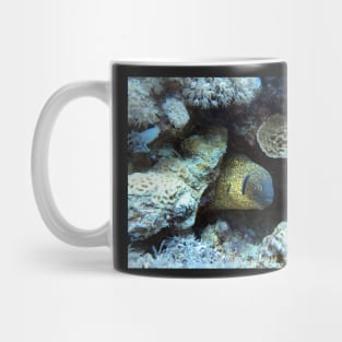 moray eel Mug